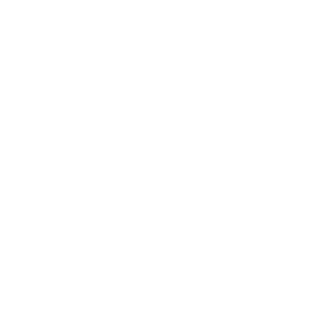 HIGH_SECURITY